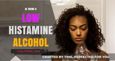 Low Histamine Alcohol Options: What Can You Safely Drink?