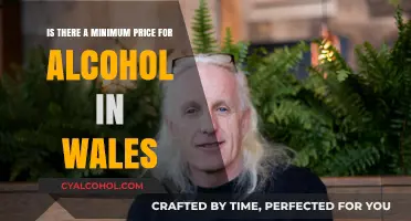 Exploring Wales' Minimum Alcohol Pricing Laws