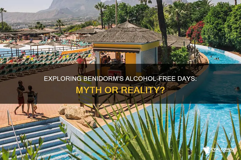 is there a no alcohol day in benidorm