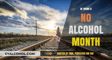 Exploring the Benefits of a Month-Long Alcohol-Free Challenge