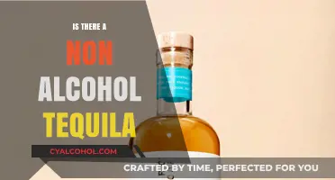 Exploring Non-Alcoholic Tequila: Does It Exist and Is It Worth Trying?
