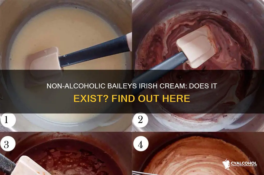 is there a non alcoholic baileys irish cream