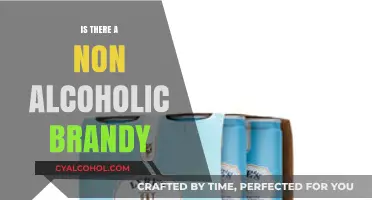 Exploring Non-Alcoholic Brandy: A Sober Twist on a Classic Spirit