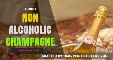 Celebrate Sober: Discovering the Best Non-Alcoholic Champagne Options