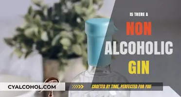 Exploring Non-Alcoholic Gin: A Sober Twist on a Classic Spirit