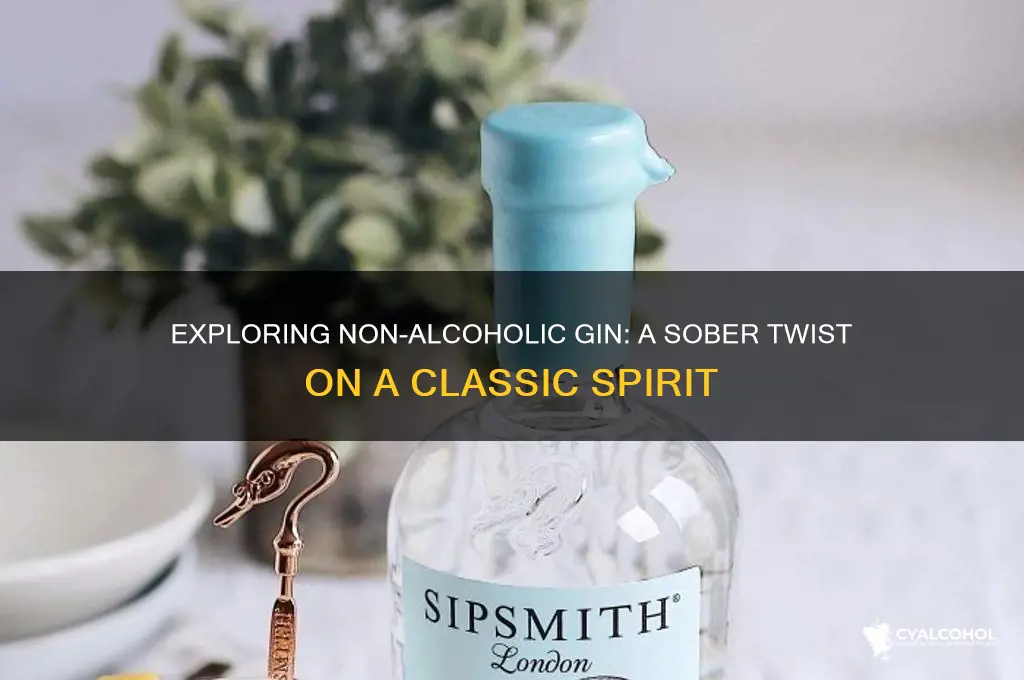 is there a non alcoholic gin