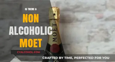 Exploring Non-Alcoholic Moët: Does a Sober Sparkling Option Exist?