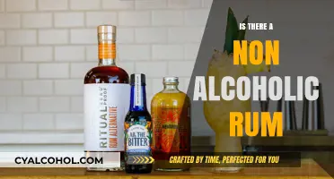 Exploring Non-Alcoholic Rum Options: A Guide to Alcohol-Free Alternatives
