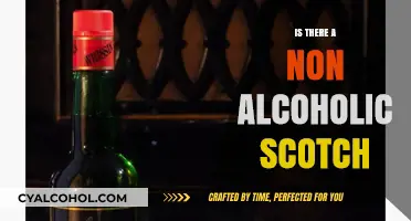 Exploring Non-Alcoholic Scotch: A Sober Twist on a Classic Spirit