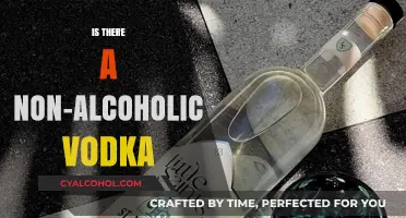 Exploring Non-Alcoholic Vodka: A Sober Twist on a Classic Spirit