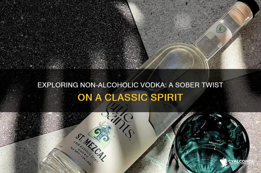 is there a non-alcoholic vodka