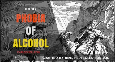 Understanding Methyphobia: The Fear of Alcohol Explained and Addressed