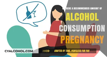 Safe Alcohol Consumption During Pregnancy?