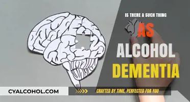 Alcohol-Induced Dementia: Separating Fact from Fiction in Cognitive Decline