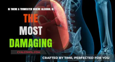 Alcohol's Worst Trimester: When Does It Matter Most?
