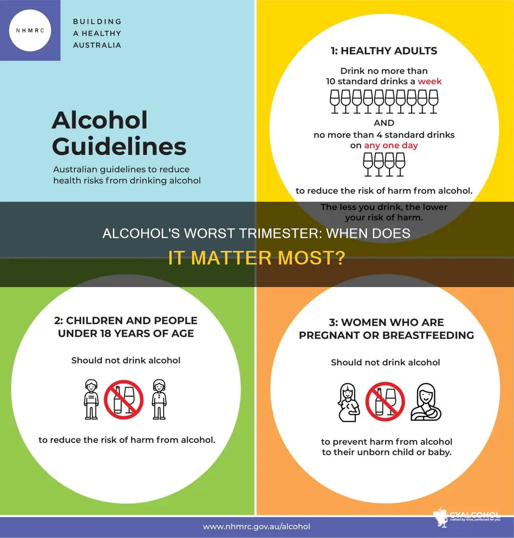 is there a trimester where alcohol is the most damaging