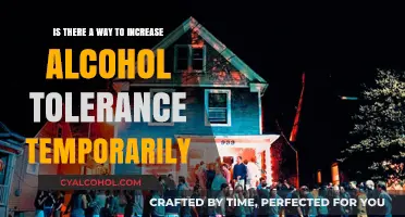 How to Increase Alcohol Tolerance for a Night