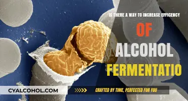 Enhancing Alcohol Fermentation Efficiency: Strategies and Innovations