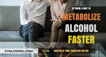 Speeding Up Alcohol Metabolism: Effective Strategies for Faster Breakdown