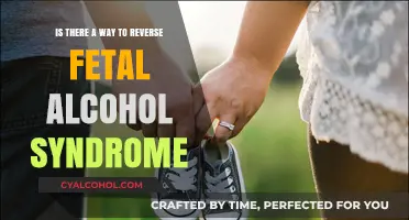 Reversing Fetal Alcohol Syndrome: Is It Possible?
