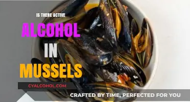 Do Mussels Contain Active Alcohol? Debunking the Myth and Facts