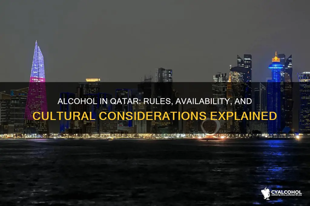 is there alcohol allowed in qatar