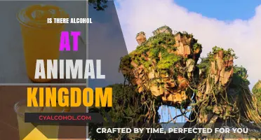 Exploring Disney's Animal Kingdom: Alcohol Options and Where to Find Them