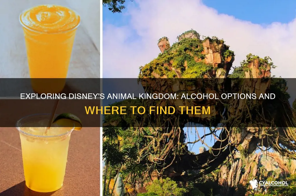 is there alcohol at animal kingdom