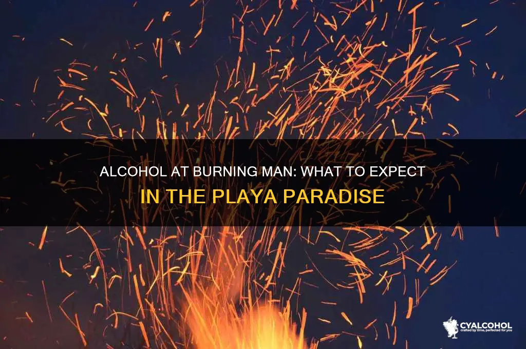 is there alcohol at burning man