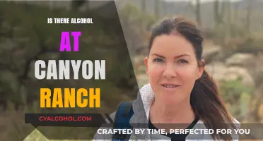 Exploring Canyon Ranch: Alcohol Policies and Wellness Retreat Experience