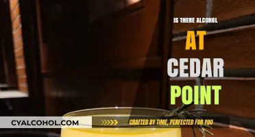 Does Cedar Point Serve Alcohol? A Guide to Park Policies