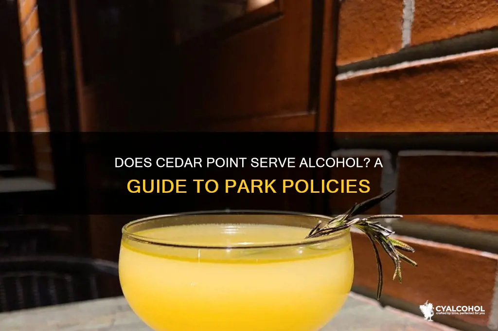 is there alcohol at cedar point