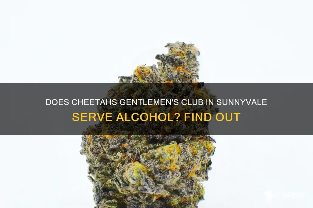 is there alcohol at cheetahs gentlemans club sunnyvale