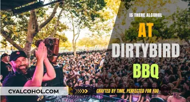 Dirtybird BBQ: Alcohol Availability and Party Vibes Explained
