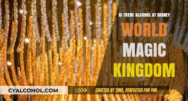 Does Disney World's Magic Kingdom Serve Alcohol? Find Out Here
