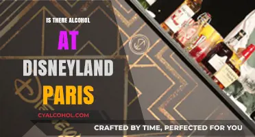 Disneyland Paris Alcohol Guide: What to Expect at the Parks