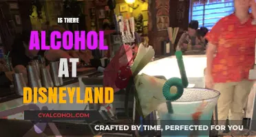 Does Disneyland Serve Alcohol? Exploring Drinks Options at the Park
