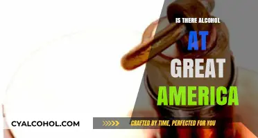 Does Great America Serve Alcohol? A Guide to Park Policies
