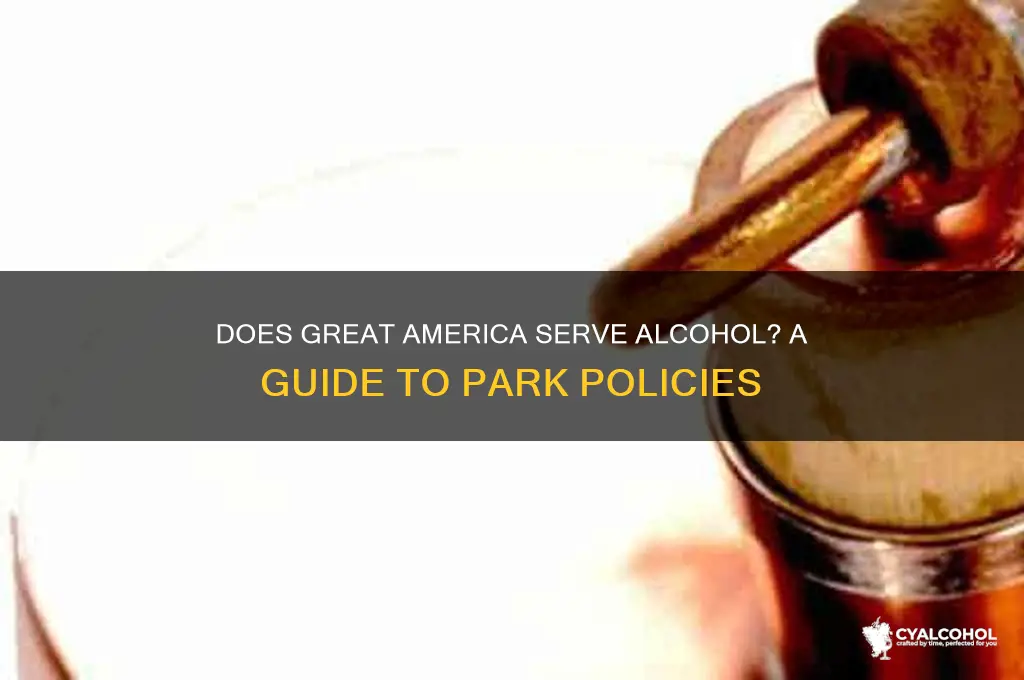 is there alcohol at great america