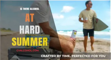 Does Hard Summer Festival Serve Alcohol? What You Need to Know