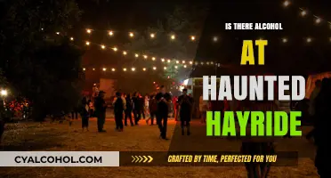 Haunted Hayride Alcohol Policy: What to Expect at the Event