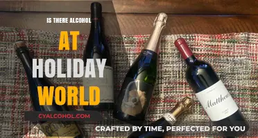 Holiday World Alcohol Policy: What to Expect at the Park