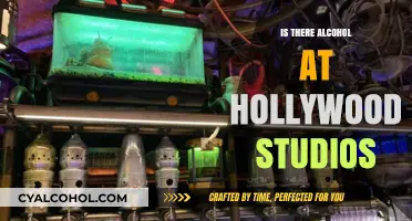 Exploring Hollywood Studios: Alcohol Options and Where to Find Them