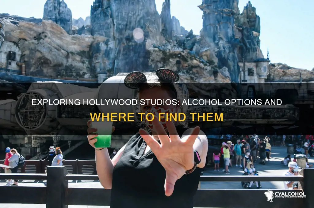 is there alcohol at hollywood studios