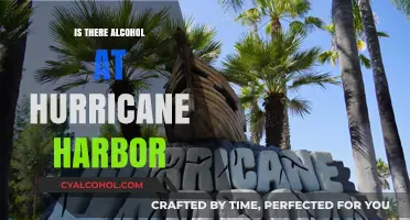 Does Hurricane Harbor Serve Alcohol? A Guide to Park Policies