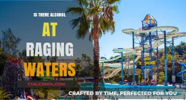 Does Raging Waters Allow Alcohol? A Guide to Park Policies