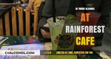 Exploring Rainforest Cafe: Alcohol Availability and Dining Experience