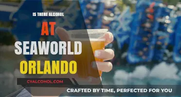 Does SeaWorld Orlando Serve Alcohol? A Visitor's Guide to Drinks