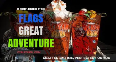 Six Flags Great Adventure: Alcohol Availability and Park Policies Explained