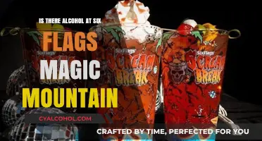 Six Flags Magic Mountain: Alcohol Availability and Park Policies Explained